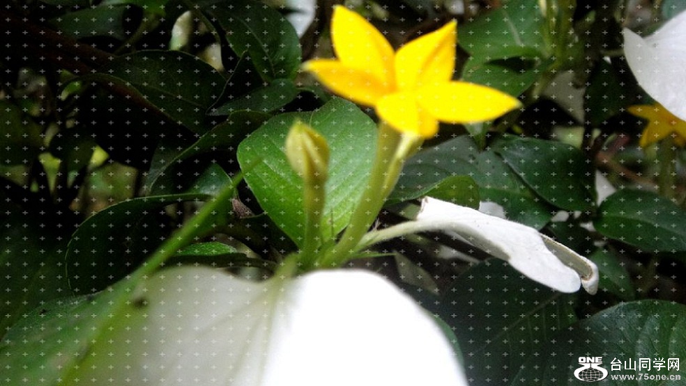 DSC01704_.jpg