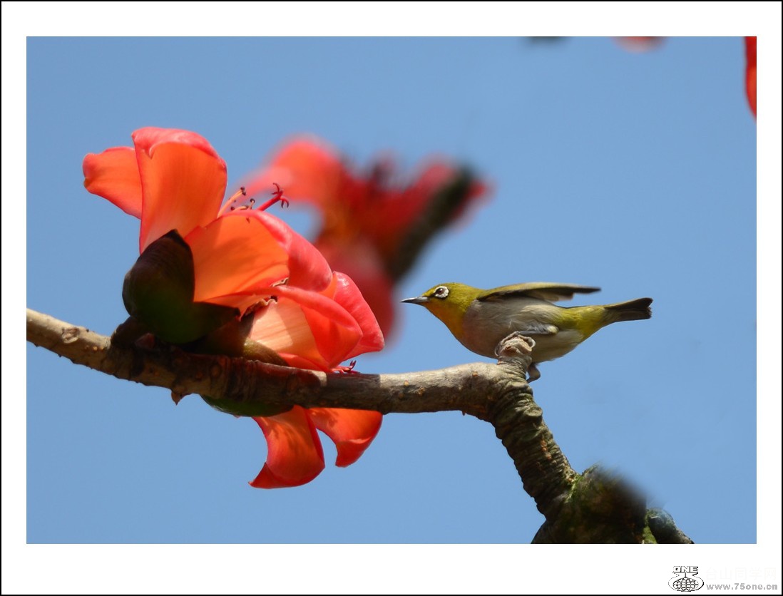 DSC_7757_conew1.jpg