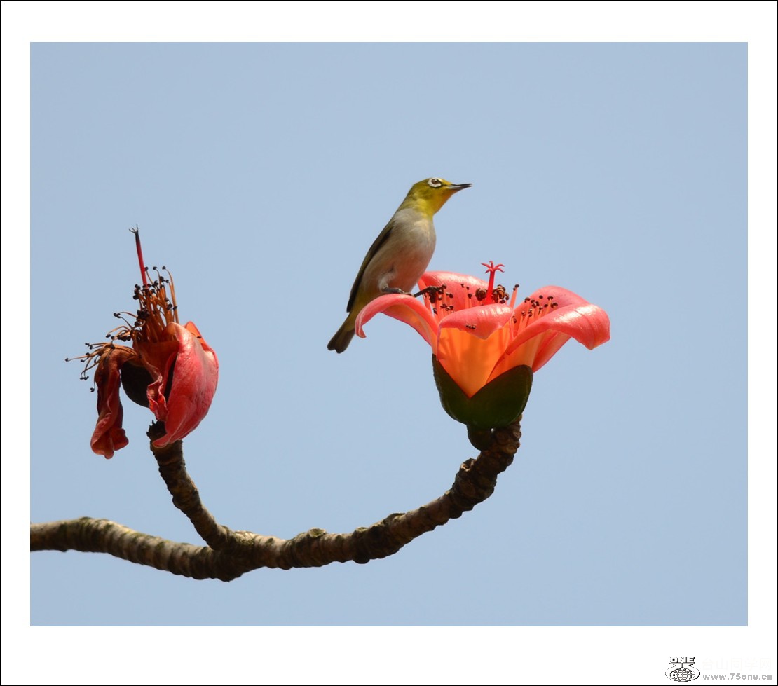 DSC_7782_conew1.jpg