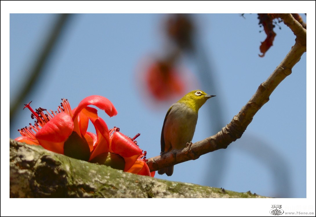 DSC_7643_conew1.jpg