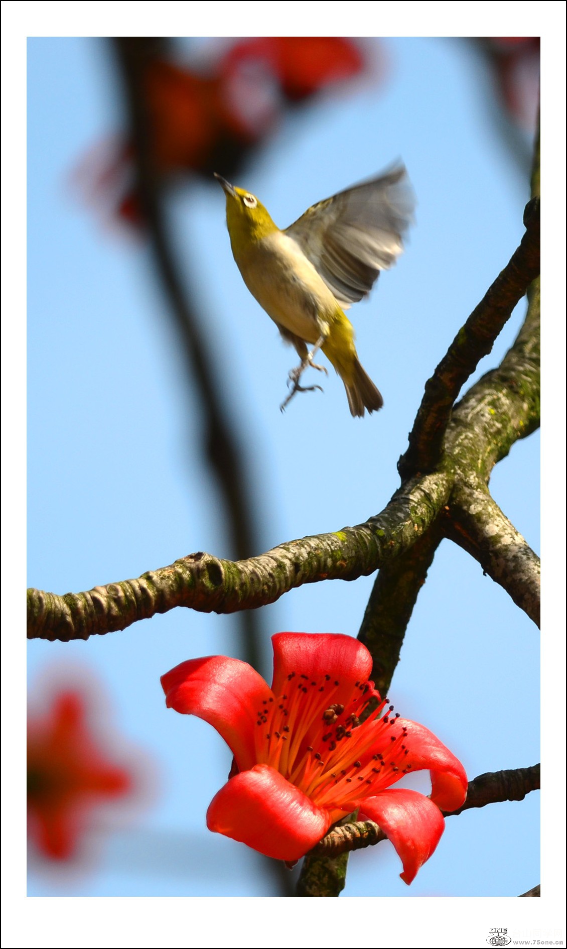 DSC_7138_conew1.jpg