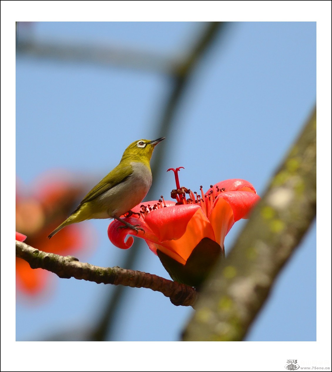 DSC_7658_conew1.jpg