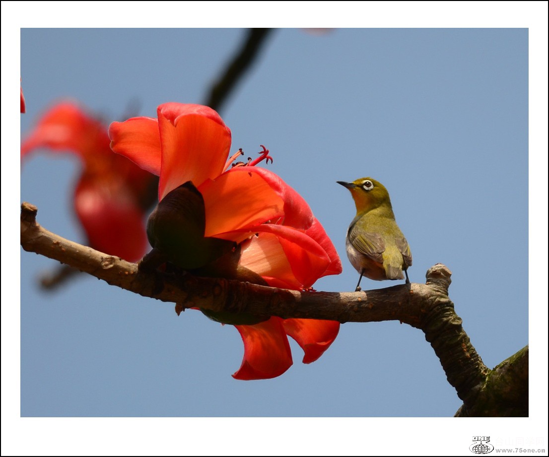 DSC_7843_conew1.jpg