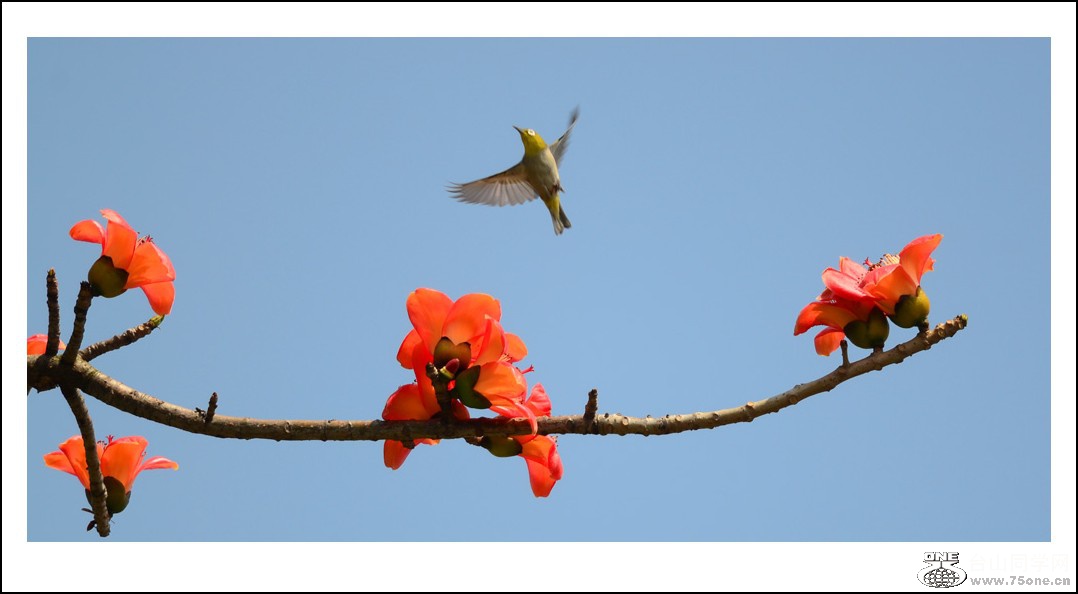 DSC_7145_conew1.jpg