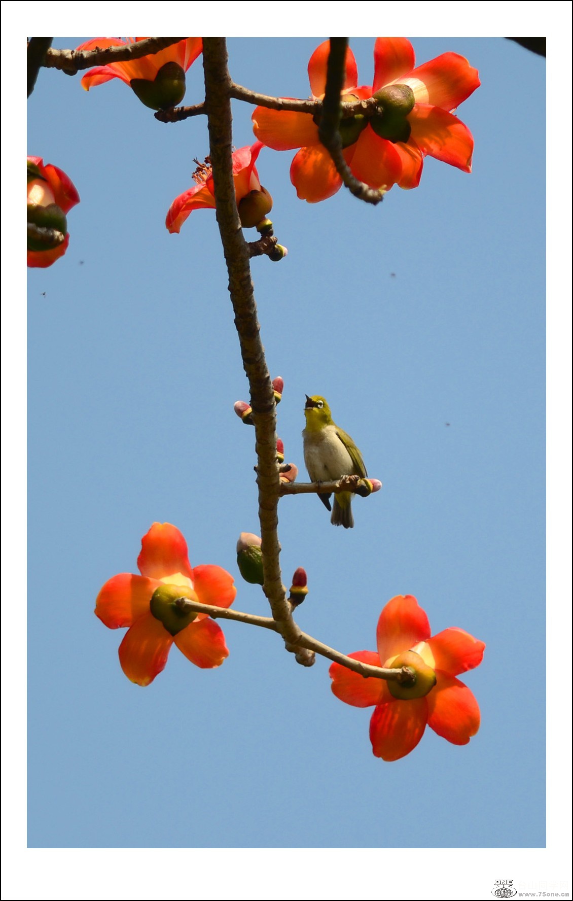 DSC_7374_conew1.jpg
