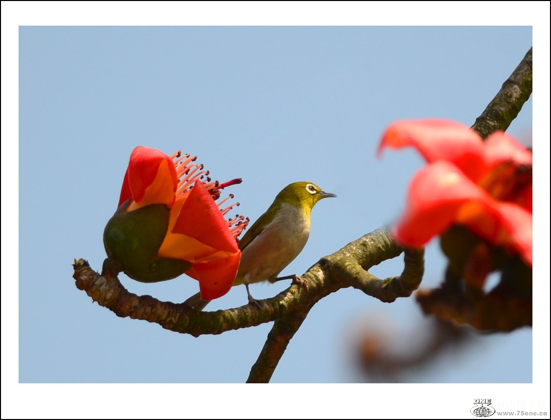 DSC_7487_conew1.jpg