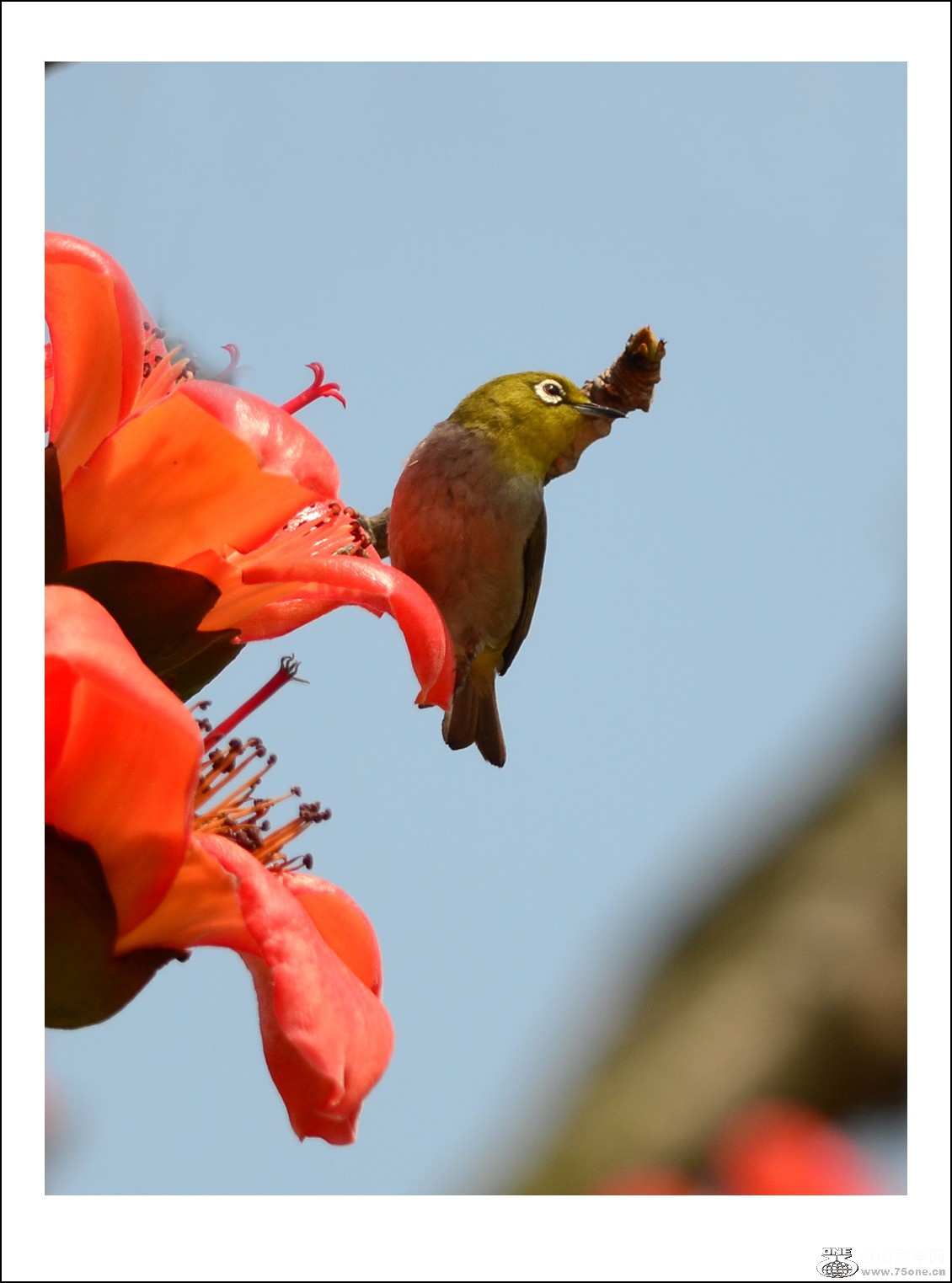 DSC_7546_conew1.jpg