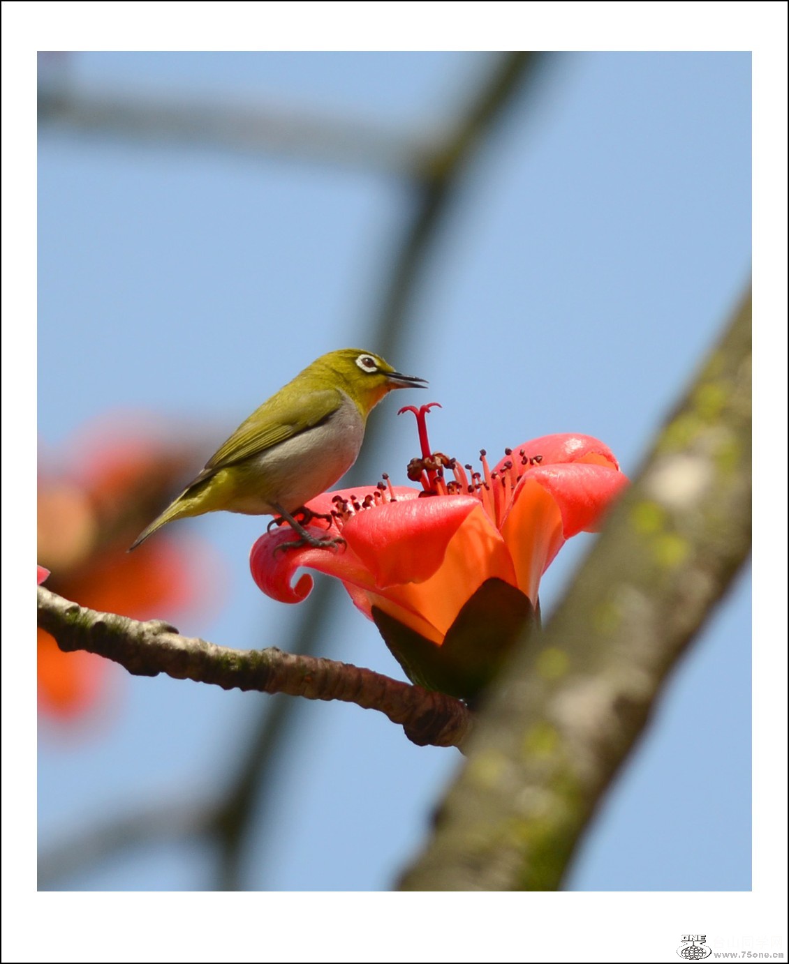 DSC_7653_conew1.jpg
