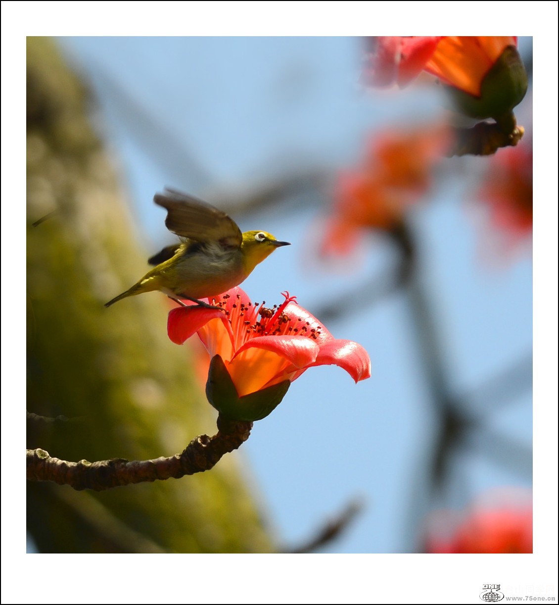 DSC_7359_conew1.jpg
