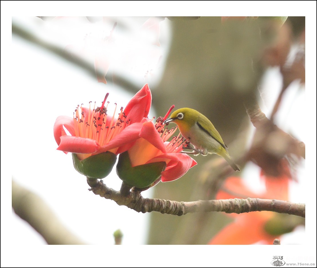 DSC_6842_conew1.jpg