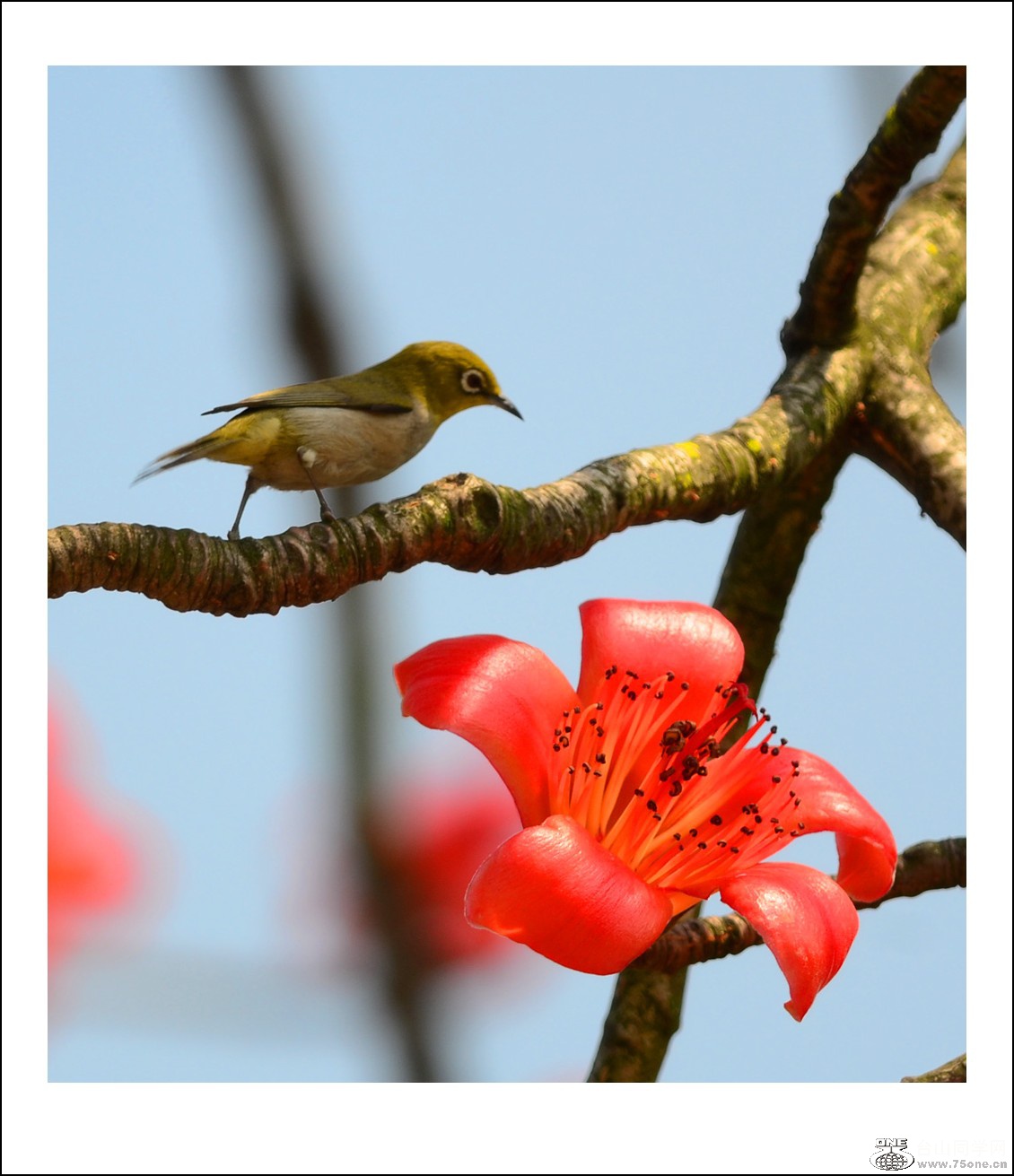 DSC_7518_conew1.jpg