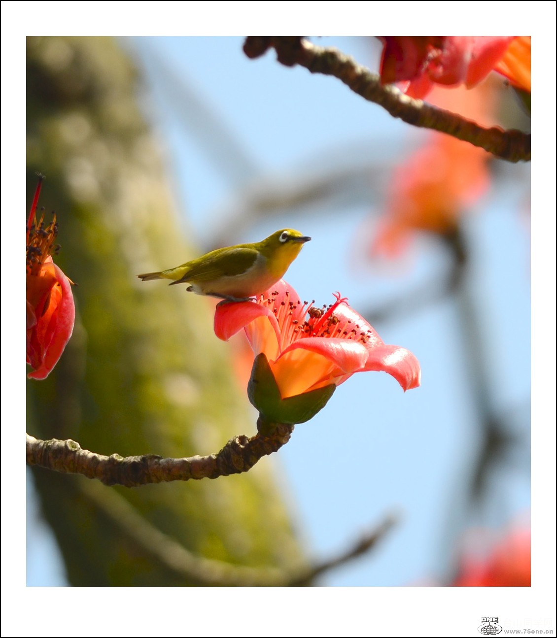 DSC_7304_conew1.jpg
