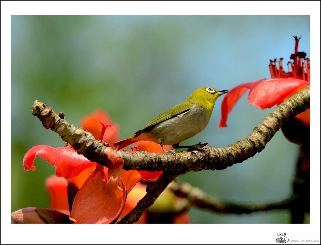 DSC_7722_conew1.jpg