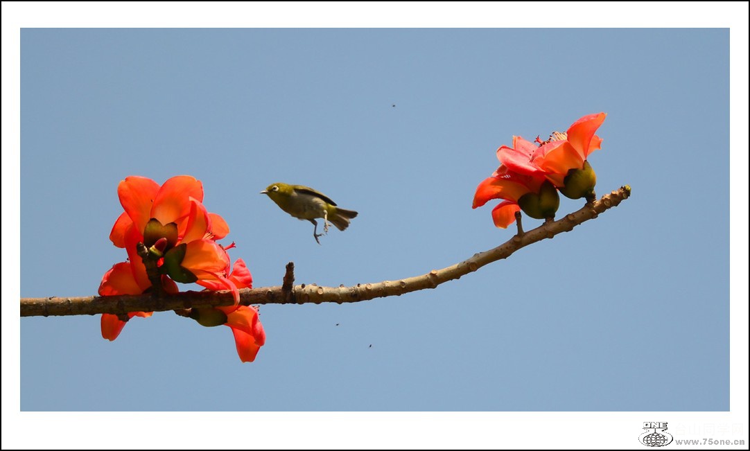 DSC_7514_conew1.jpg