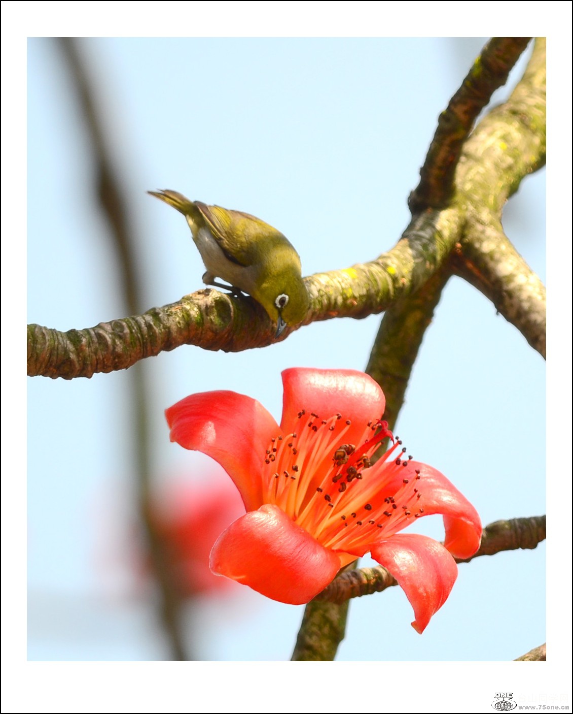 DSC_7521_conew1.jpg