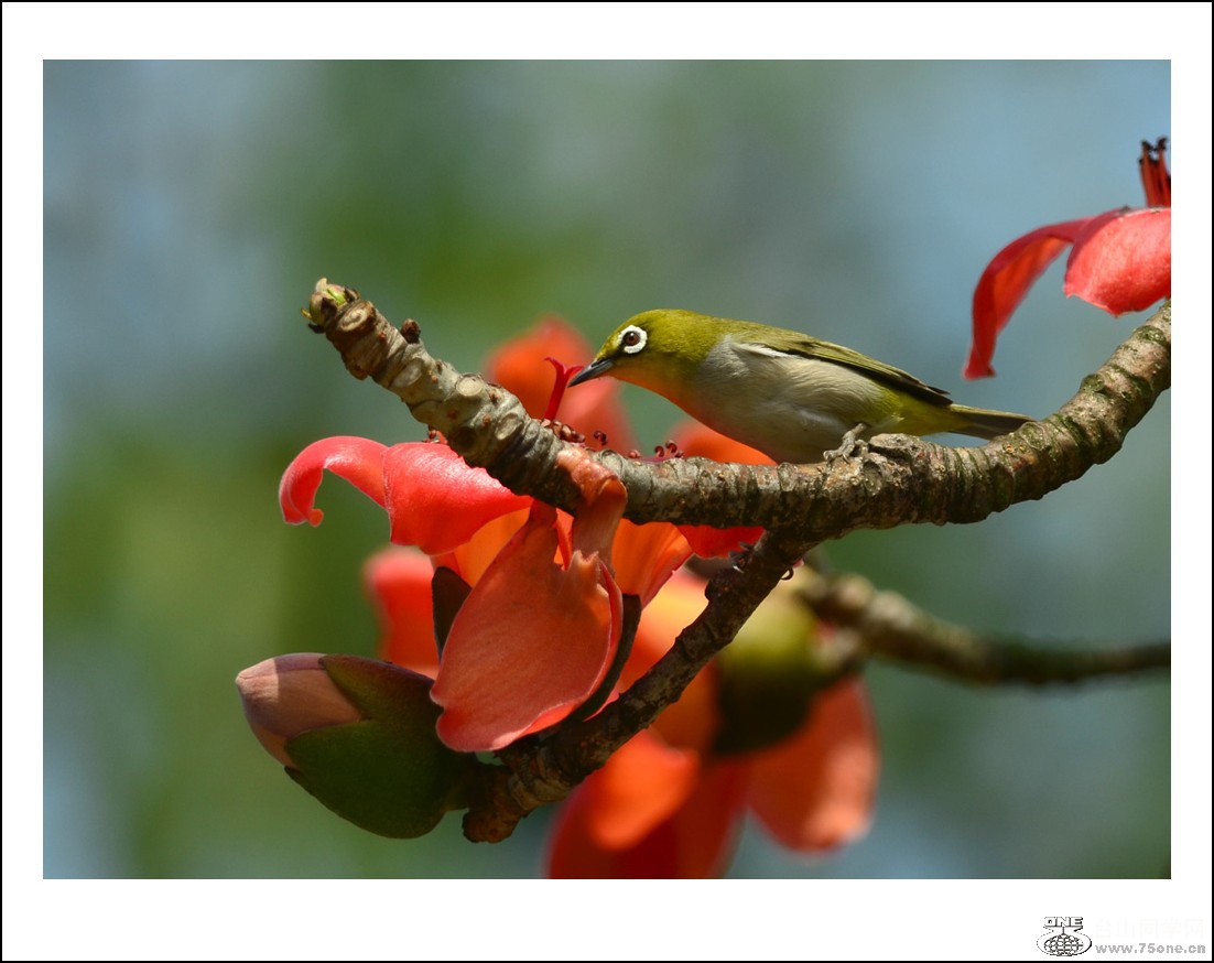 DSC_7719_conew1.jpg