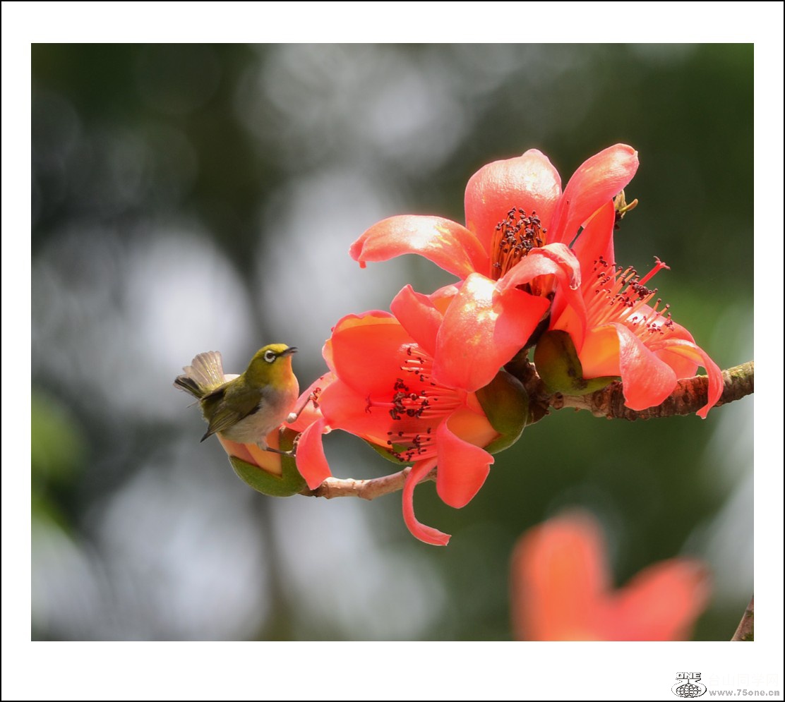 DSC_7688_conew1.jpg