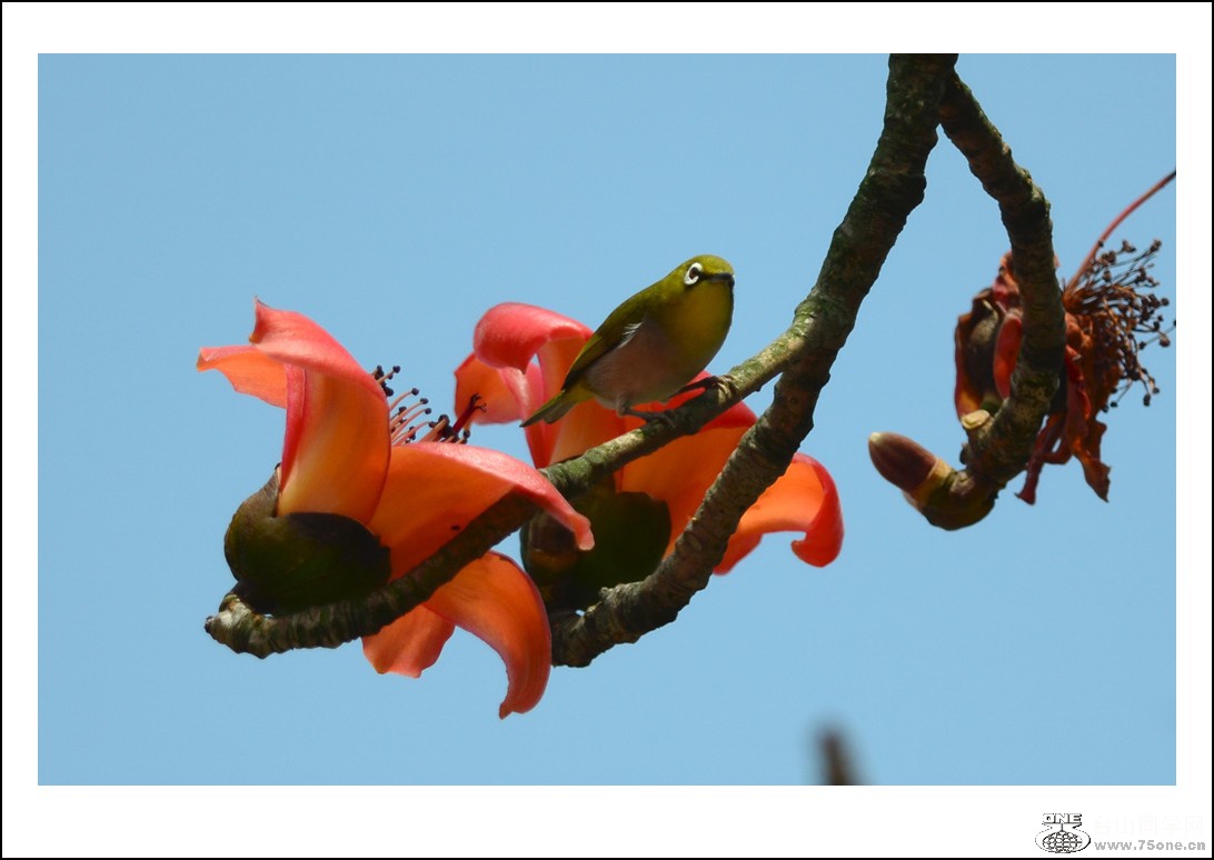 DSC_7702_conew1.jpg