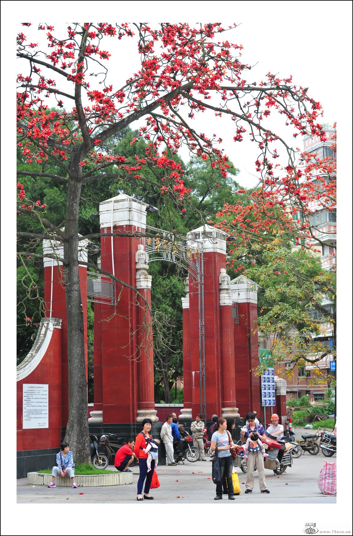 DSC_4397_conew1.jpg