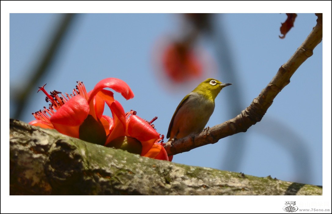 DSC_7648_conew1.jpg