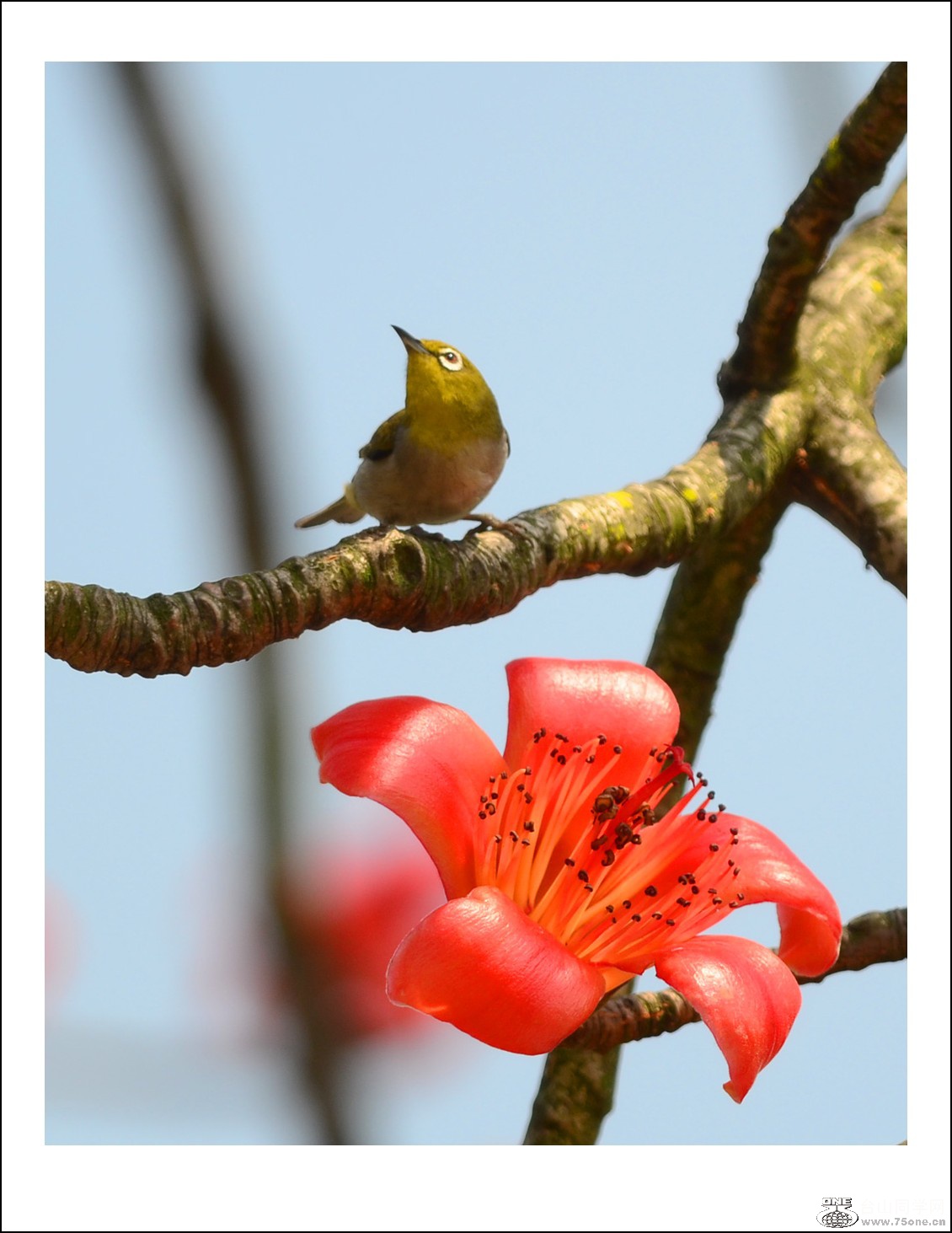 DSC_7523_conew1.jpg