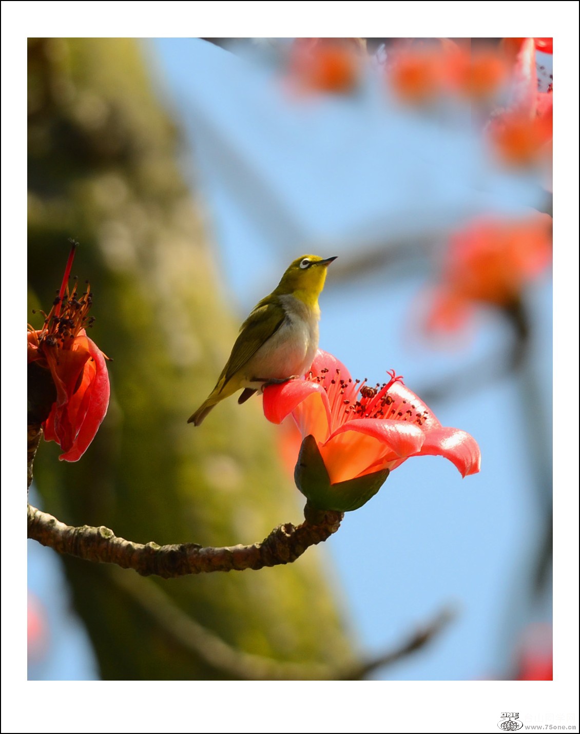 DSC_7295_conew1.jpg