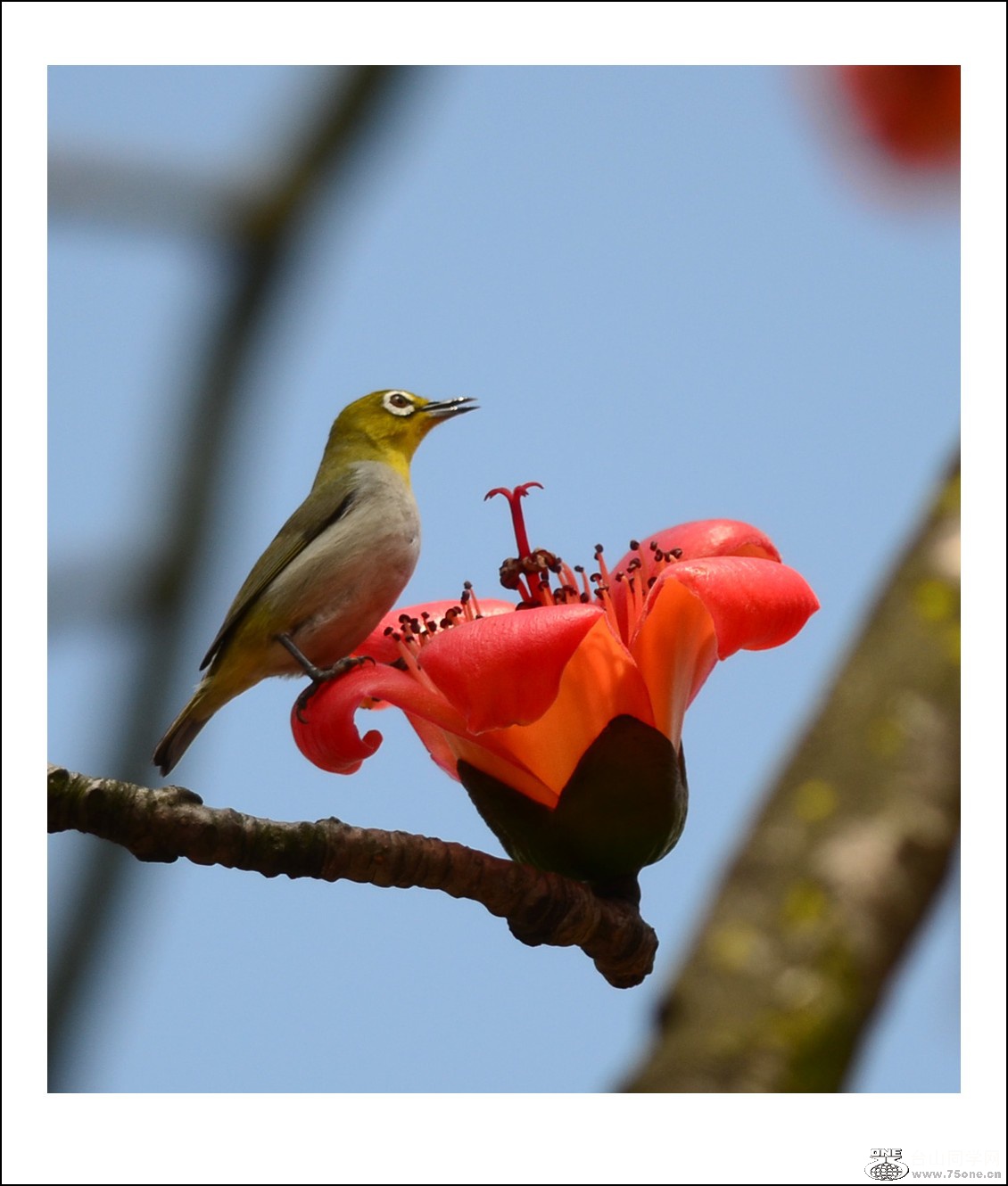 DSC_7838_conew1.jpg