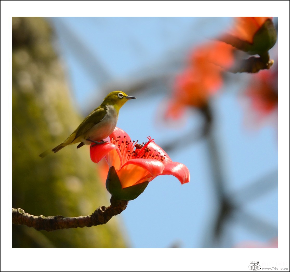 DSC_7308_conew1.jpg