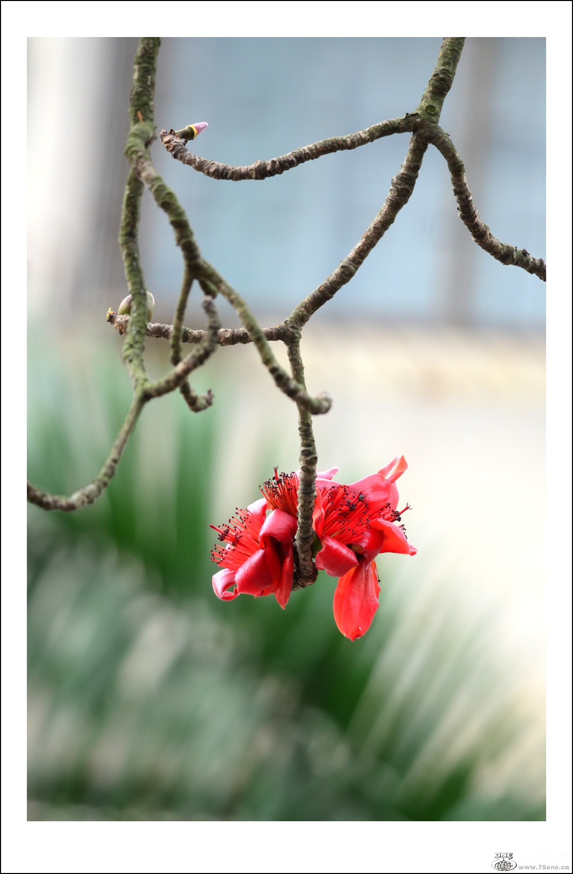 DSC_6740_conew1.jpg