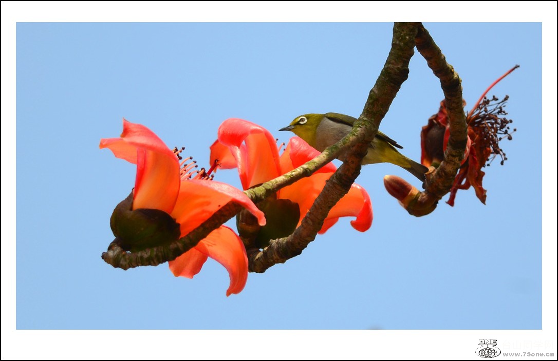 DSC_7637_conew1.jpg