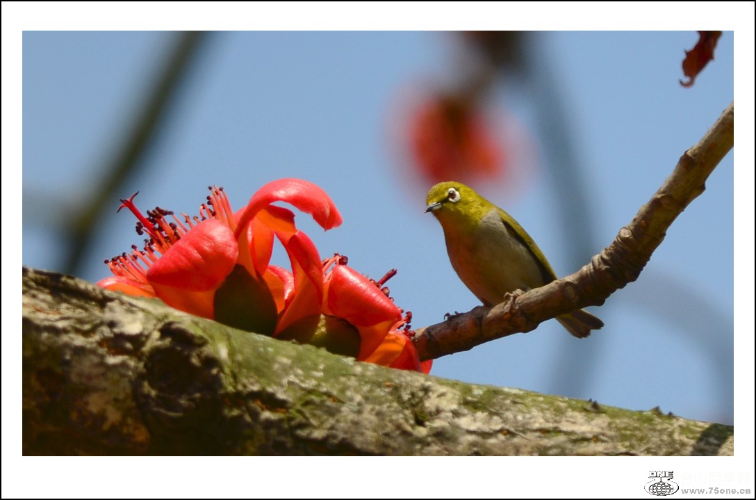 DSC_7645_conew1.jpg