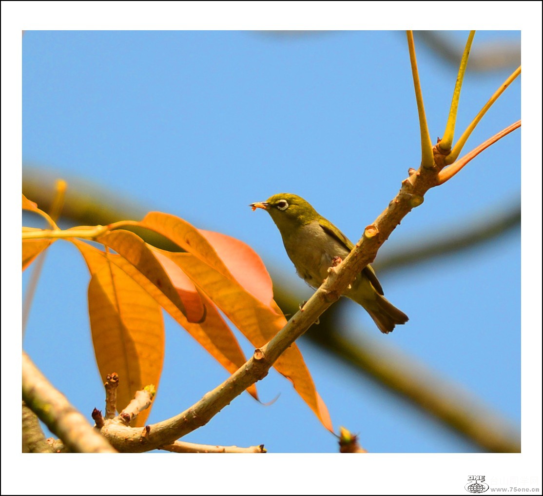 DSC_7509_conew1.jpg