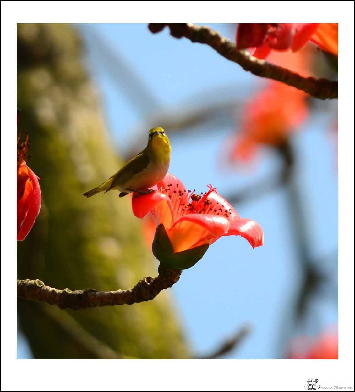 DSC_7306_conew1.jpg
