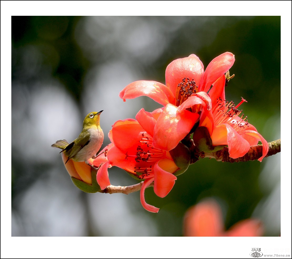 DSC_7672_conew1.jpg