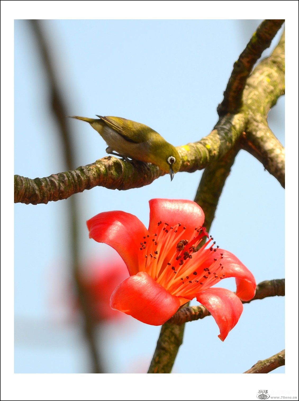 DSC_7520_conew1.jpg