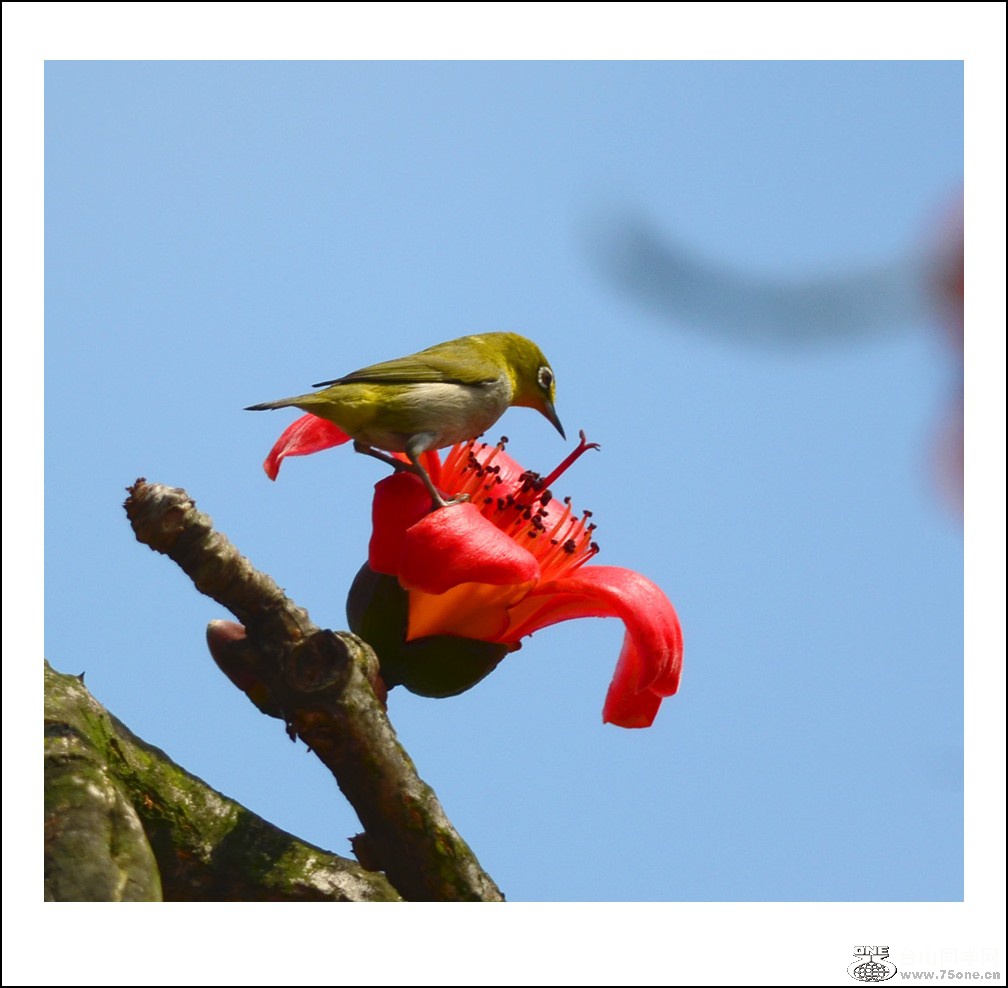 DSC_7088_conew1.jpg