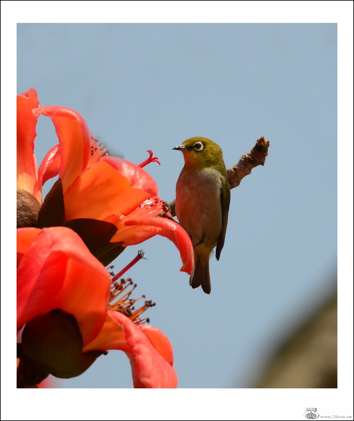 DSC_7562_conew1.jpg