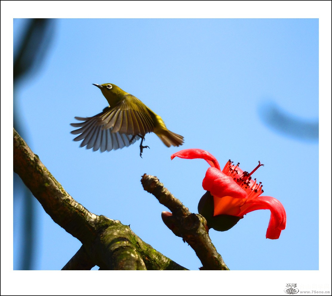 DSC_7093_conew1.jpg