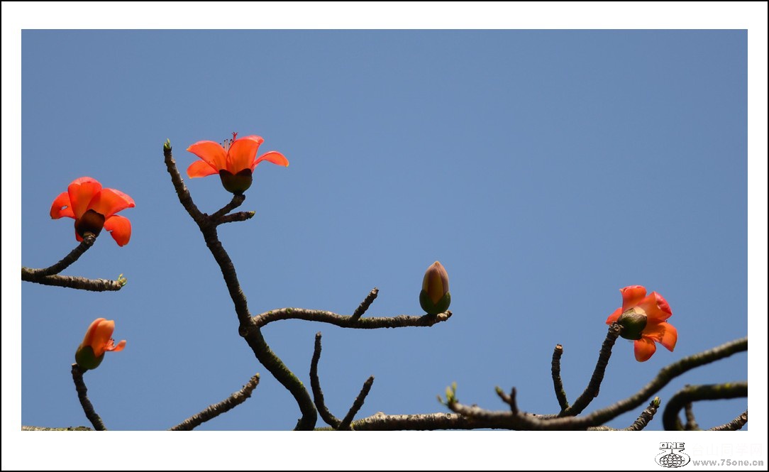 DSC_7182_conew1.jpg