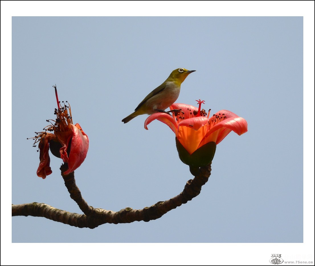 DSC_7787_conew1.jpg