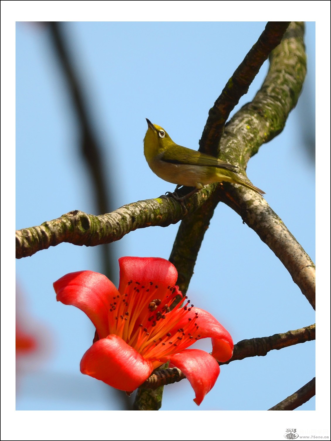 DSC_7137_conew1.jpg