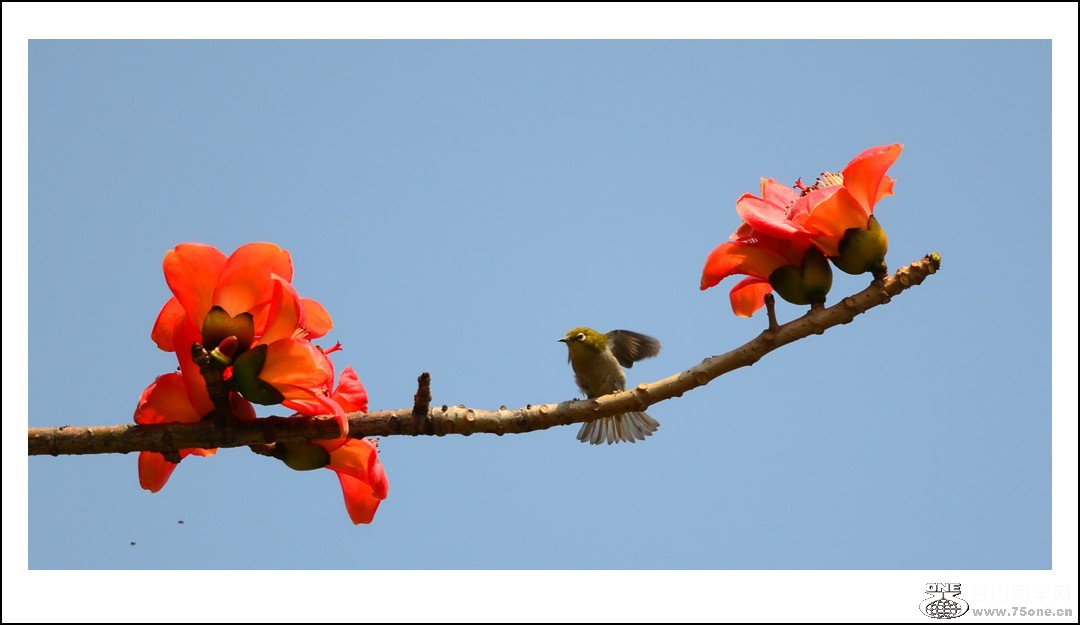 DSC_7513_conew1.jpg