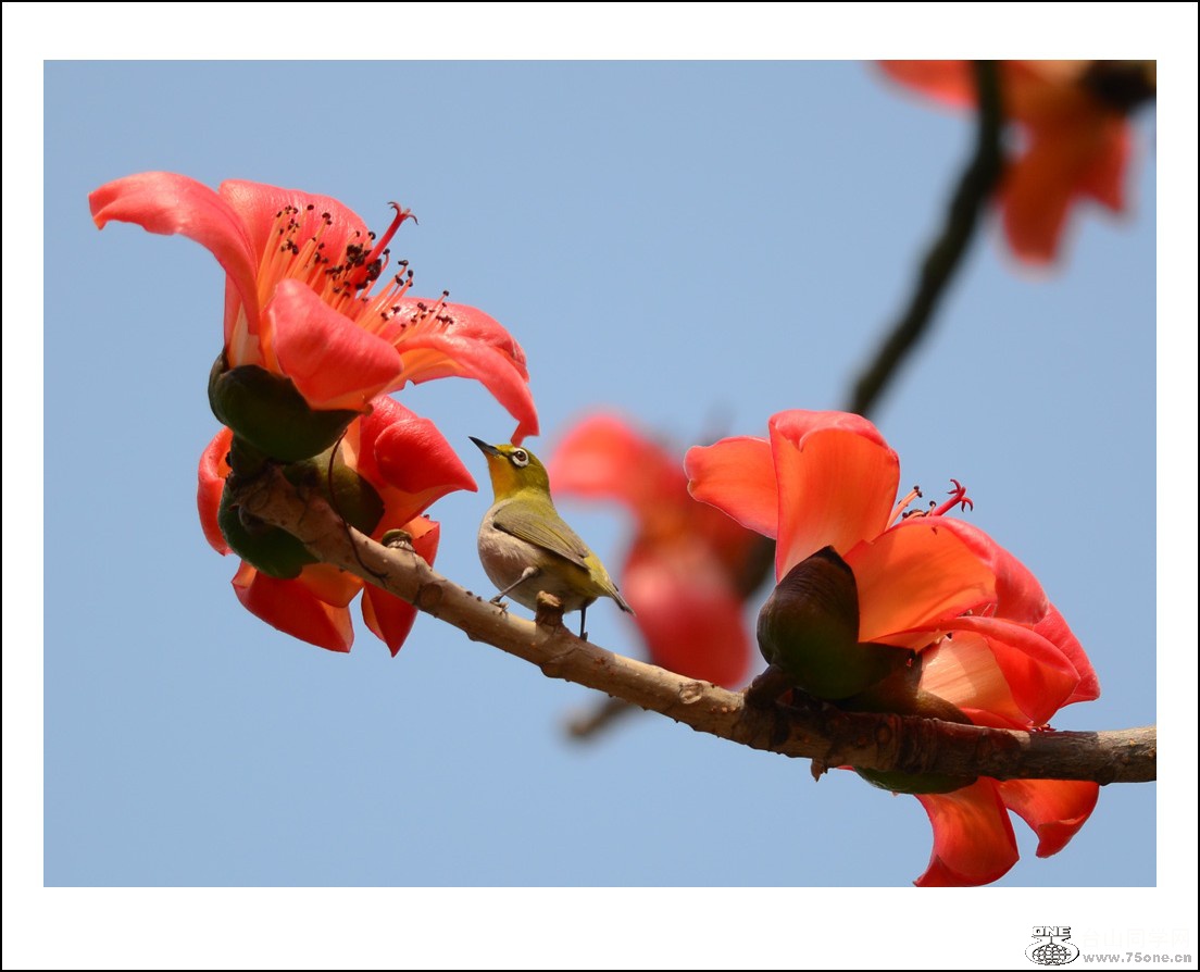 DSC_7863_conew1.jpg