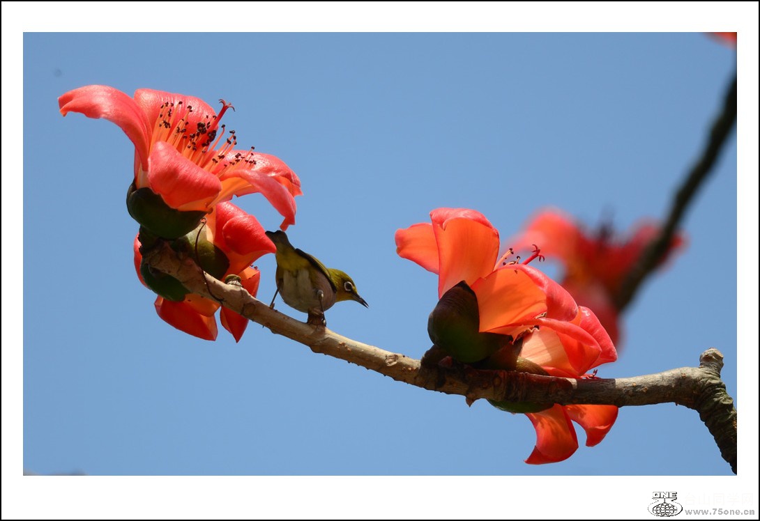DSC_7775_conew1.jpg