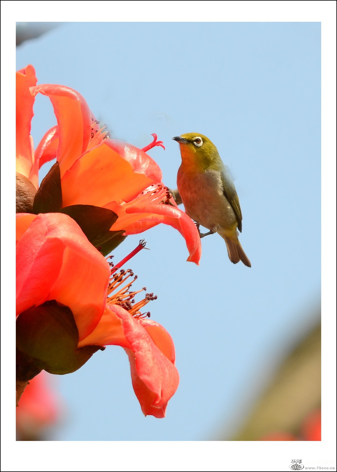 DSC_7541_conew1.jpg