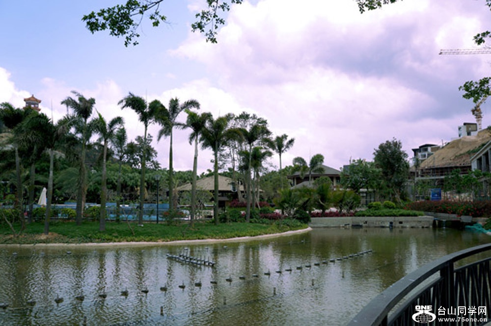 DSC02049sx.jpg