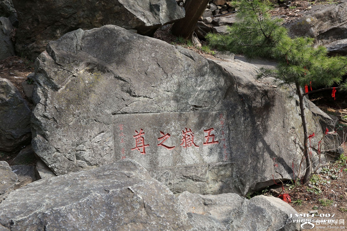 NM4A1393_ͼ.jpg