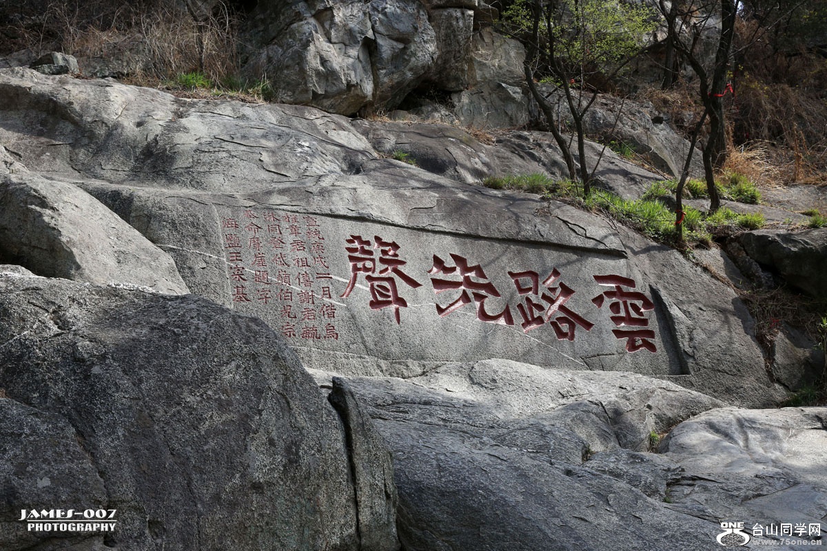NM4A1395_ͼ.jpg