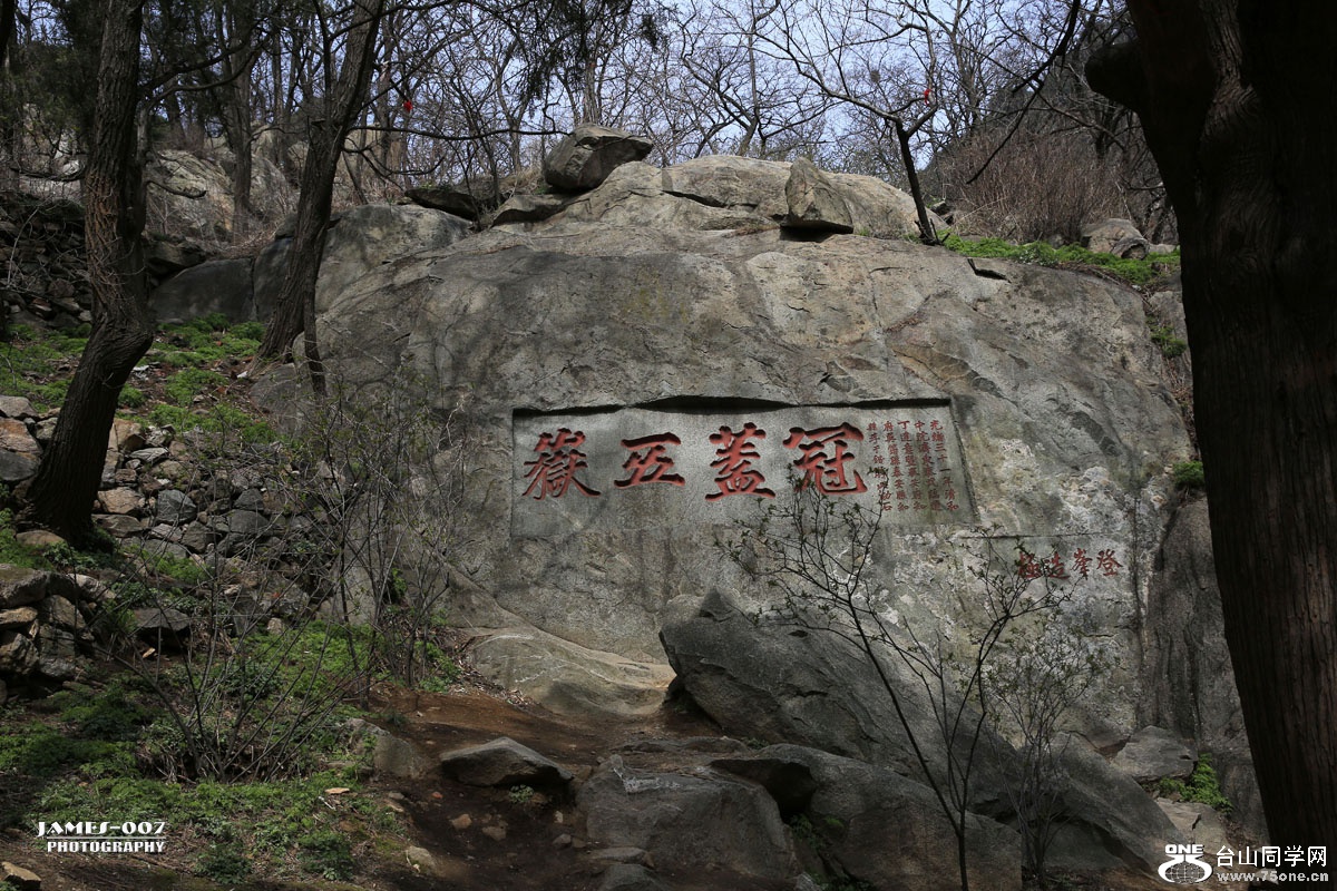 NM4A1432_ͼ.jpg