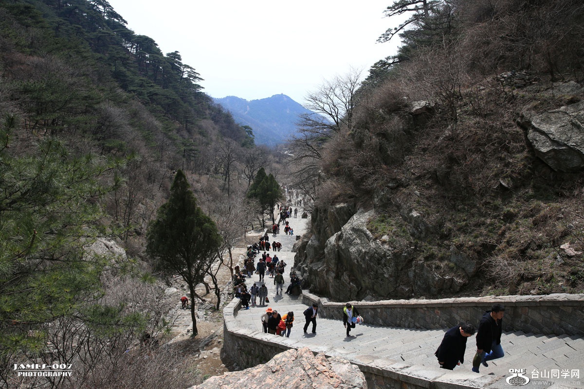 NM4A1465_ͼ.jpg